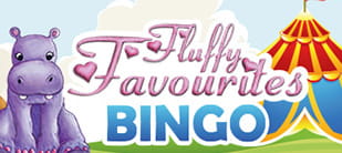 Bingo free slots online